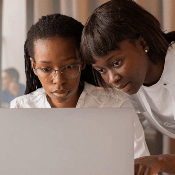 the boldboss co. mentorship